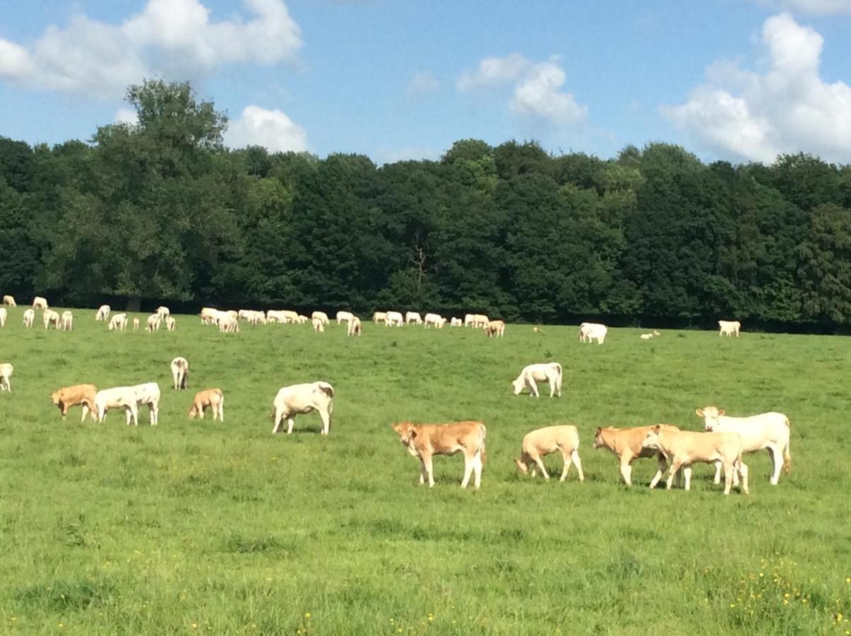 Aux Bois Dores De La Ferme De Sorval, Animaux De La Ferme, Fitness Selvigny Exterior foto