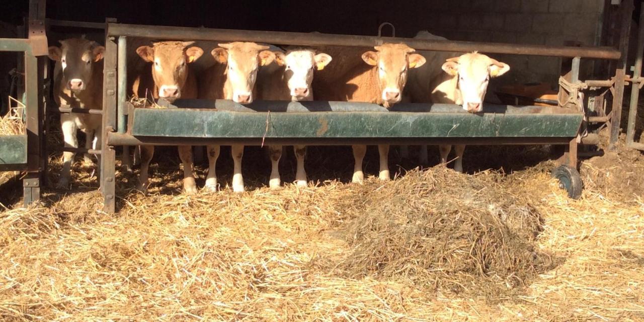 Aux Bois Dores De La Ferme De Sorval, Animaux De La Ferme, Fitness Selvigny Exterior foto
